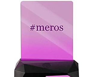 تکنولوژی Meros